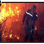 حرائق الغابات في الجزائر